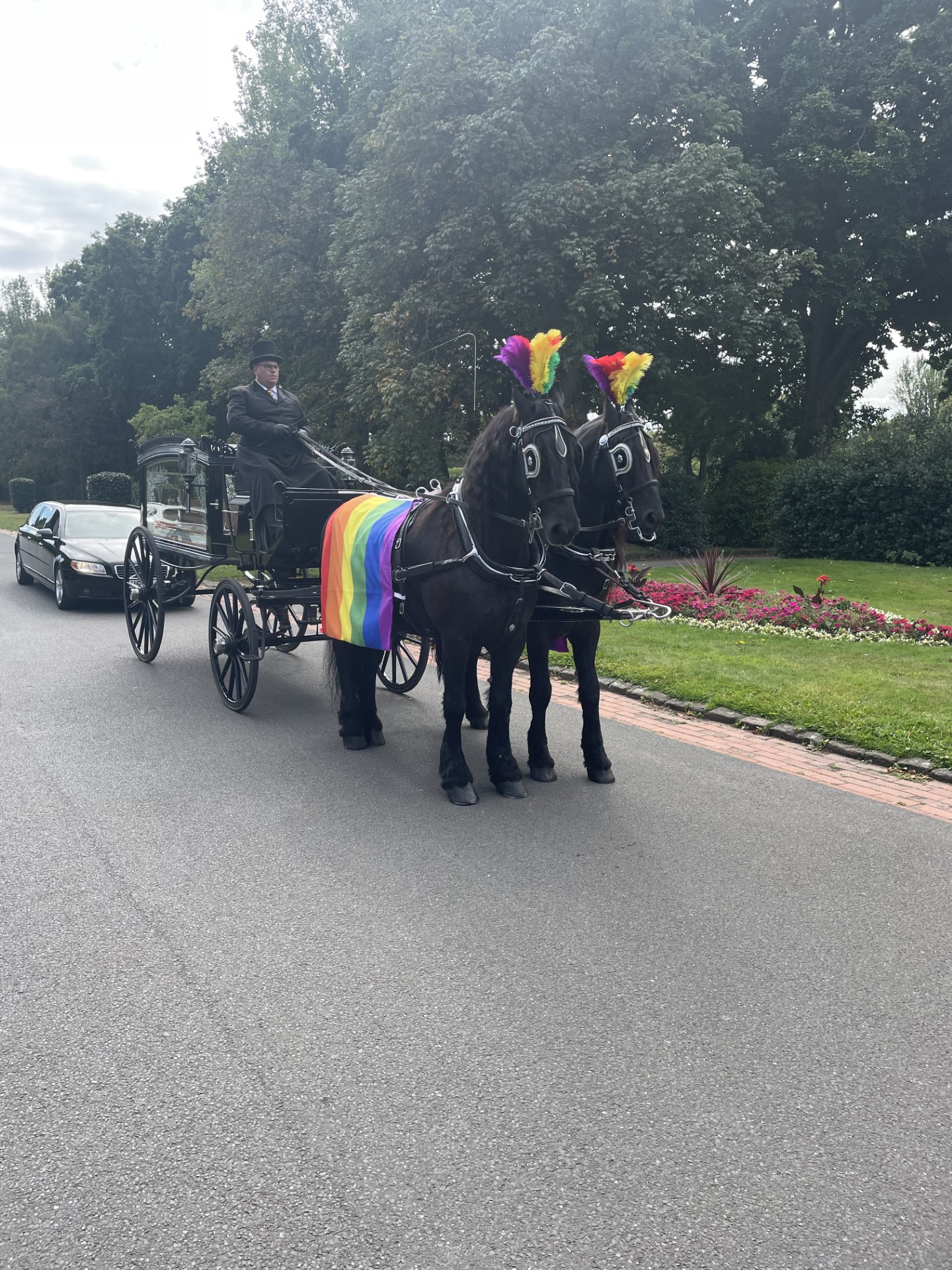 Rainbow Horse & Carriage