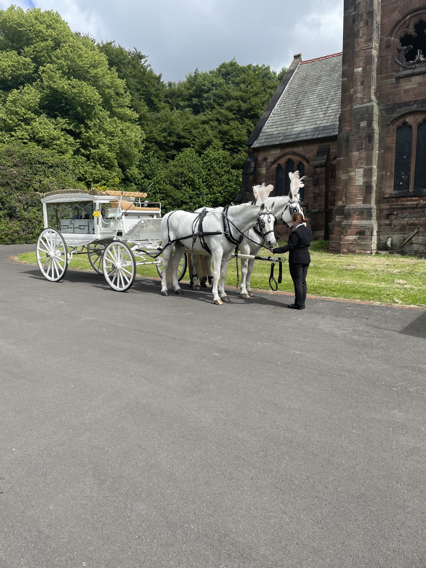 White Hore & Carriage